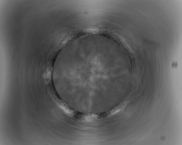 X0000099490576200805291109