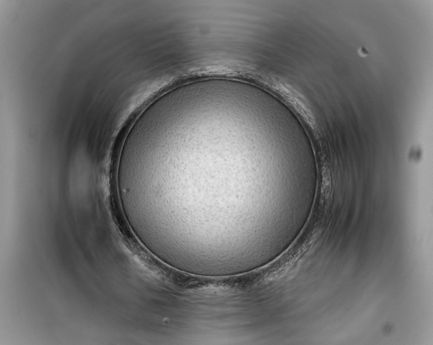 X0000099490578200805291108