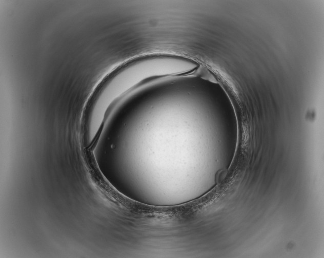 X0000099490580200805291108