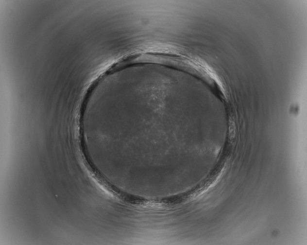 X0000099490581200805291108