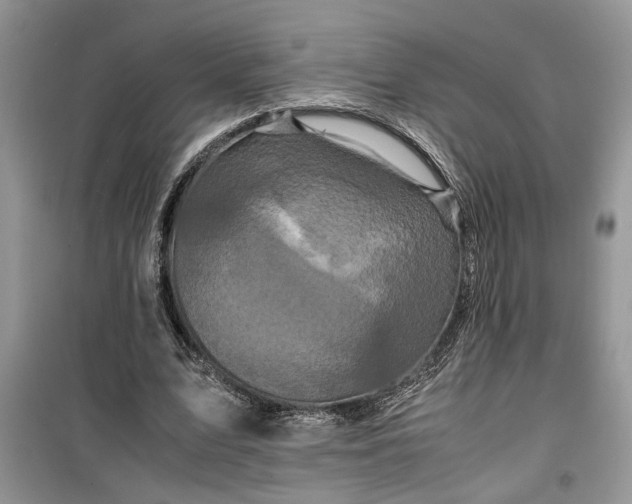 X0000099490583200805291108