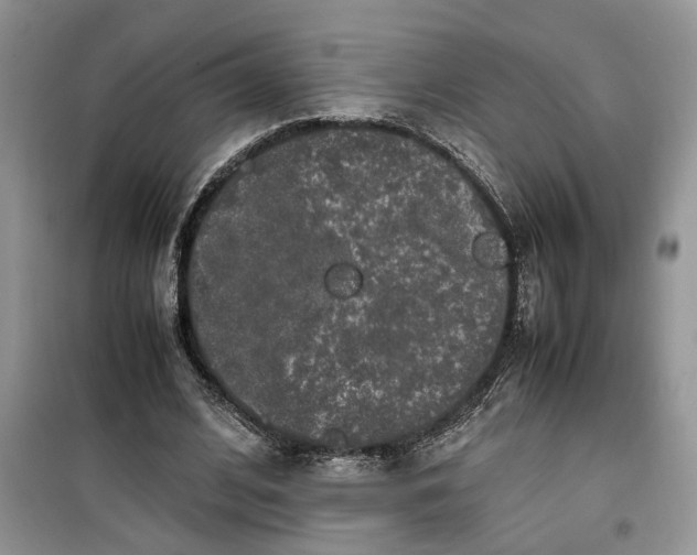 X0000099490584200805291108