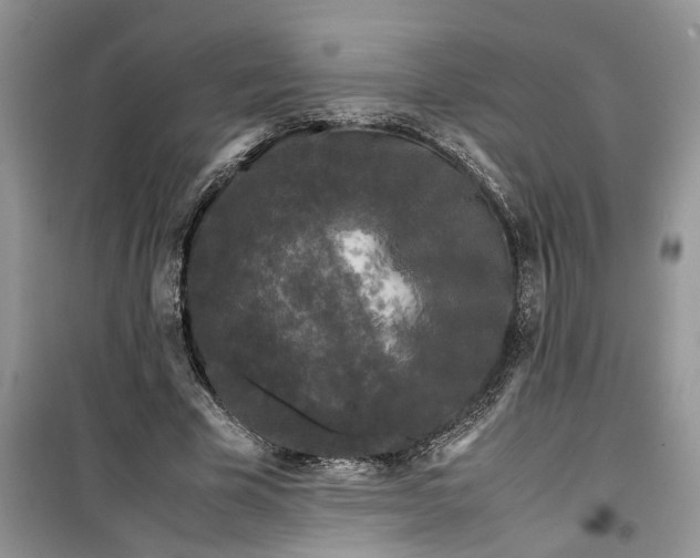 X0000099490585200805291108