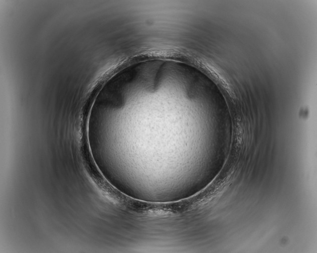 X0000099490586200805291108