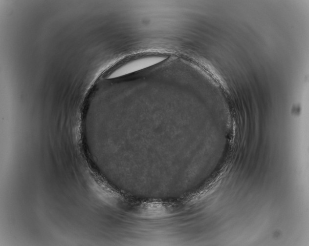 X0000099490588200805291108