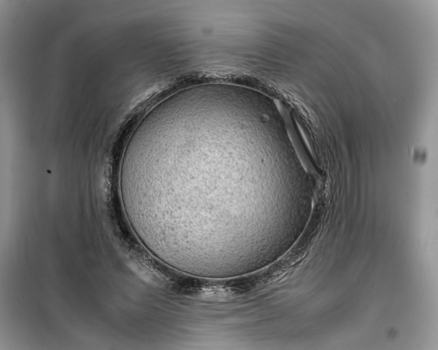 X0000099490591200805291108