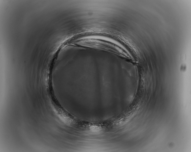 X0000099490592200805291108