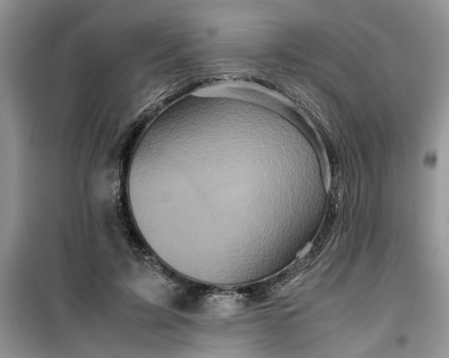 X0000099490595200805291108