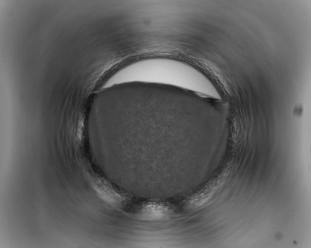 X0000099490596200805291108