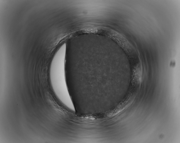 X0000099490600200805291108