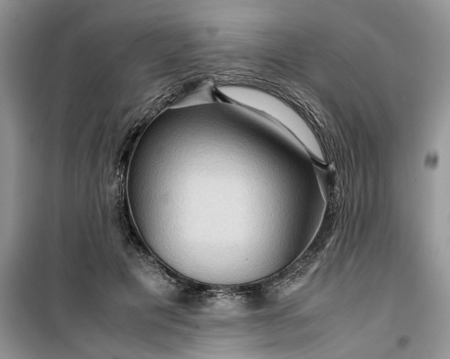 X0000099490601200805291108