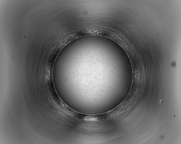 X0000099490602200805291108