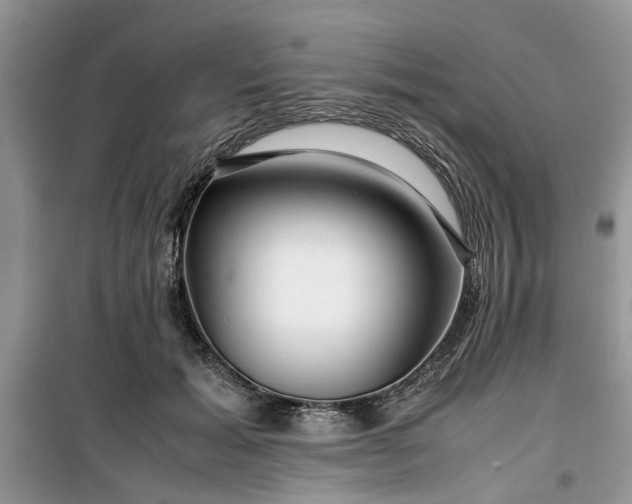 X0000099490605200805291108