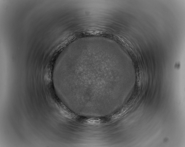 X0000099490606200805291108