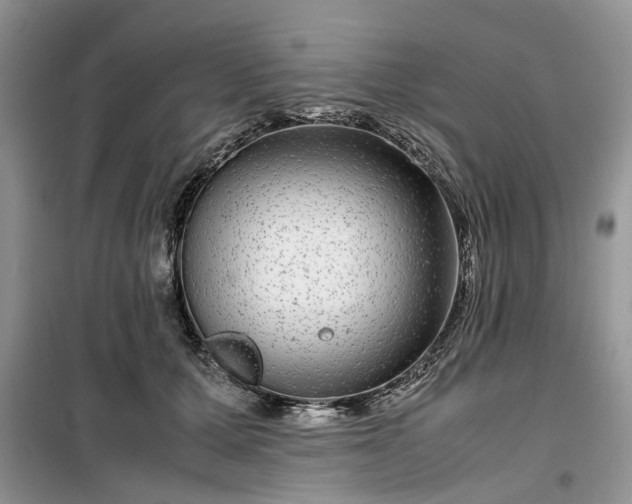 X0000099490607200805291108