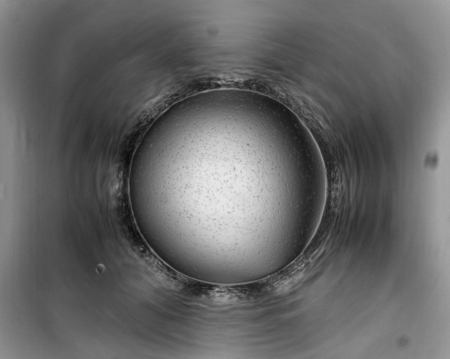 X0000099490608200805291108