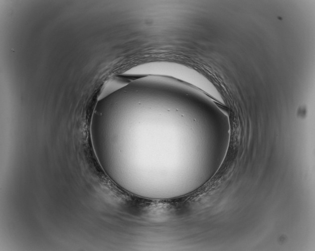 X0000099490609200805291108