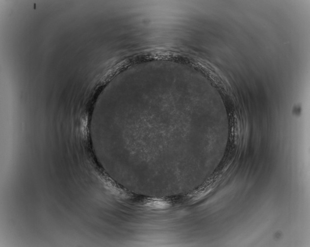 X0000099490610200805291108