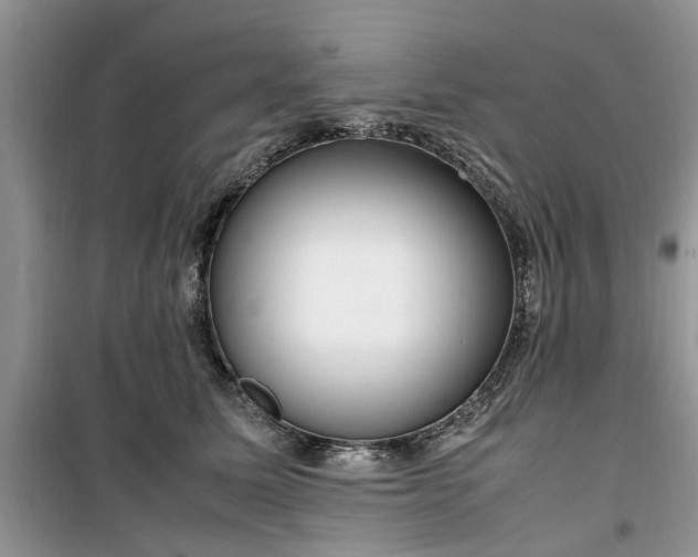 X0000099490611200805291108