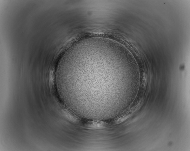 X0000099490612200805291108