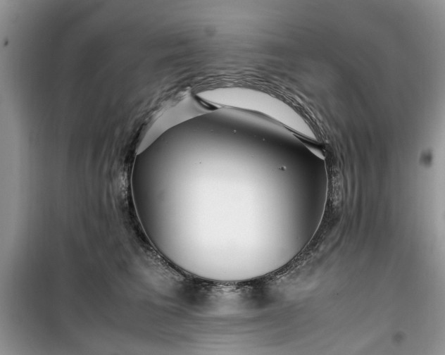 X0000099490613200805291108