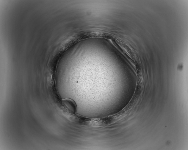 X0000099490615200805291108