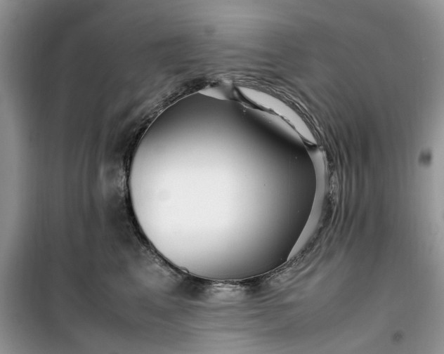 X0000099490617200805291108