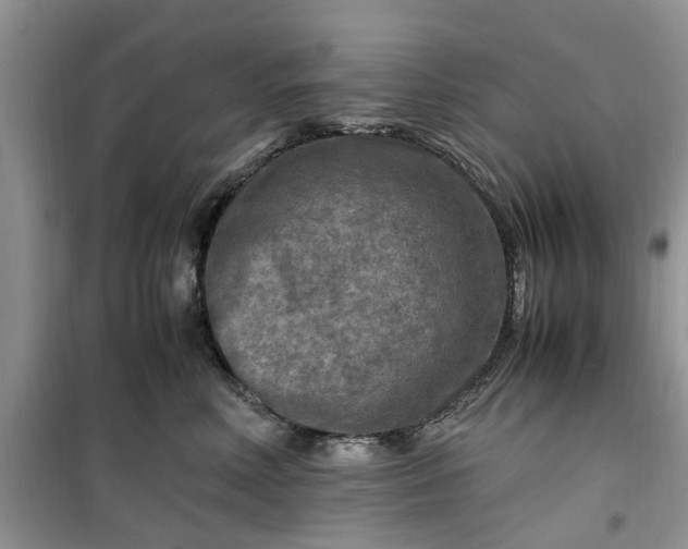 X0000099490618200805291108