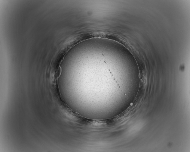 X0000099490619200805291108