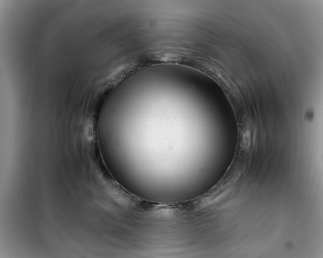 X0000099490620200805291108