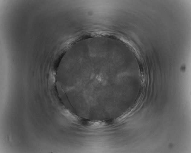 X0000099490621200805291108