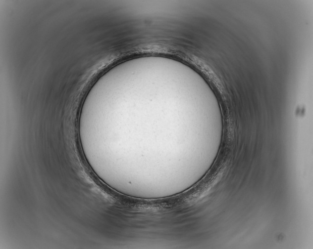 X0000099490625200805291107