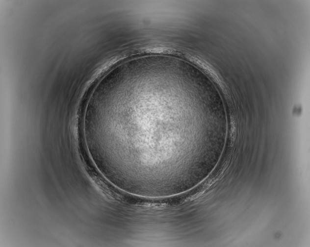 X0000099490626200805291107