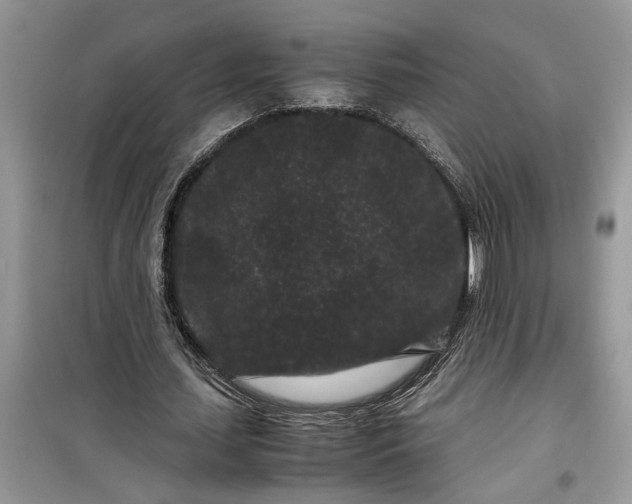 X0000099490627200805291107