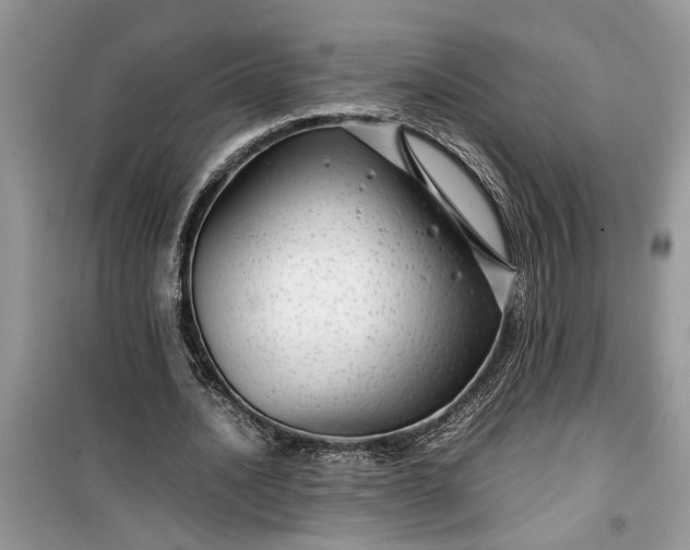 X0000099490628200805291107