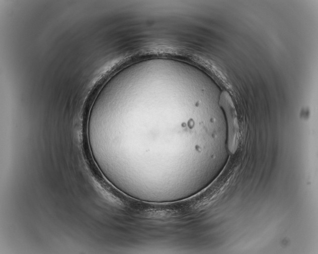 X0000099490629200805291107