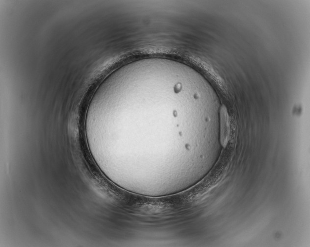 X0000099490631200805291107