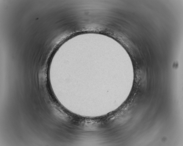 X0000099490632200805291107