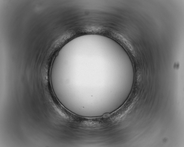 X0000099490633200805291107