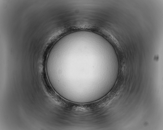 X0000099490635200805291107