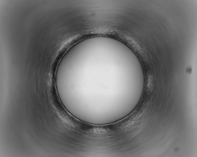 X0000099490636200805291107