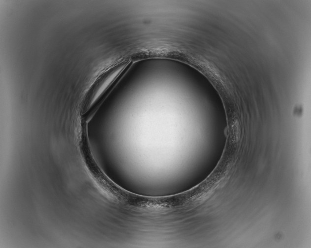 X0000099490638200805291107