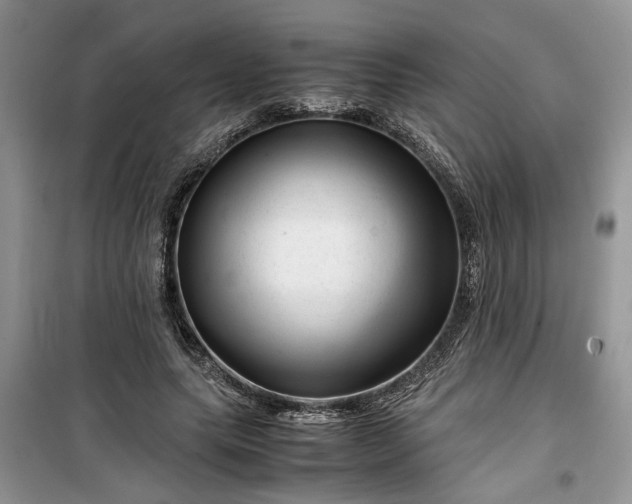 X0000099490639200805291107