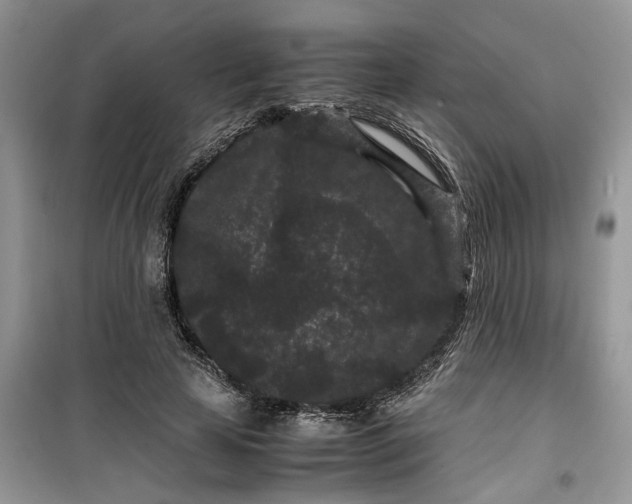 X0000099490641200805291107