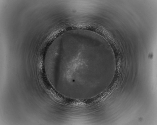 X0000099490644200805291107