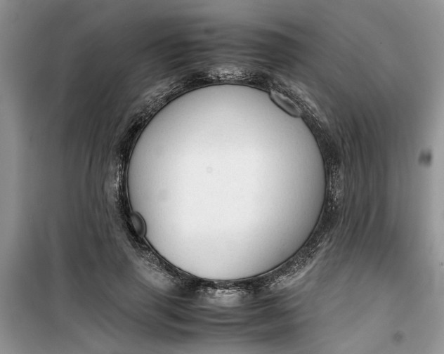 X0000099490645200805291107