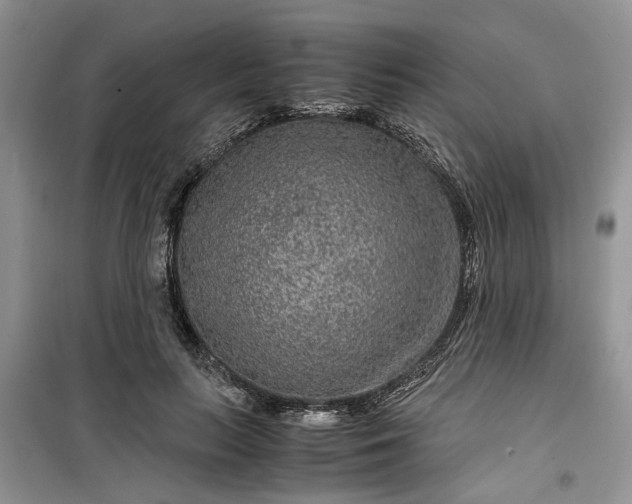 X0000099490647200805291108