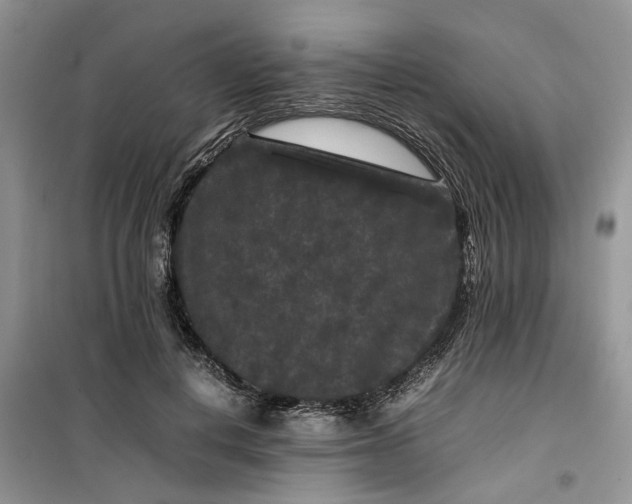 X0000099490648200805291108