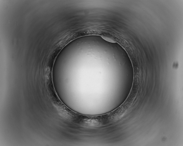 X0000099490649200805291108