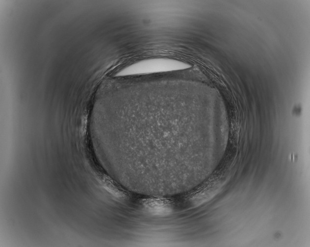 X0000099490652200805291108